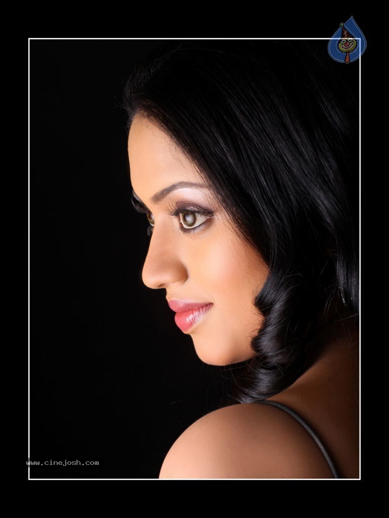 Mallika Portfolio Stills - 13 / 54 photos