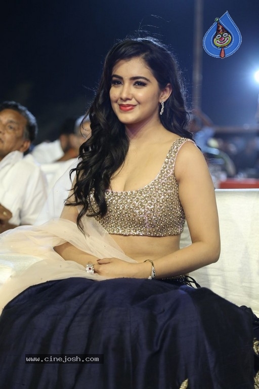 Malvika Sharma at Nela Ticket Audio Launch - 20 / 37 photos