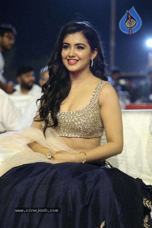 Malvika Sharma at Nela Ticket Audio Launch - 25 / 37 photos