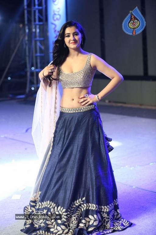 Malvika Sharma at Nela Ticket Audio Launch - 34 / 37 photos