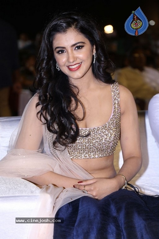 Malvika Sharma at Nela Ticket Audio Launch - 35 / 37 photos