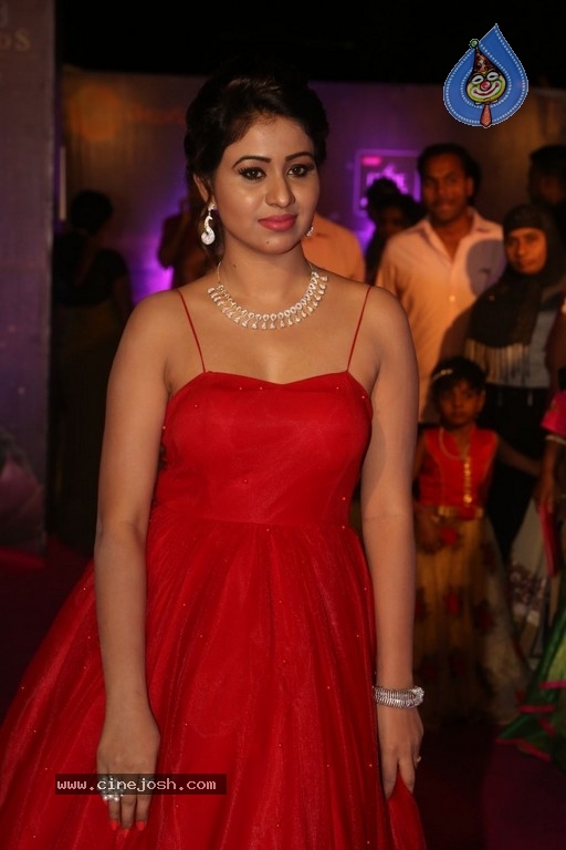 Manali Rathod at Zee Apsara Awards - 17 / 21 photos