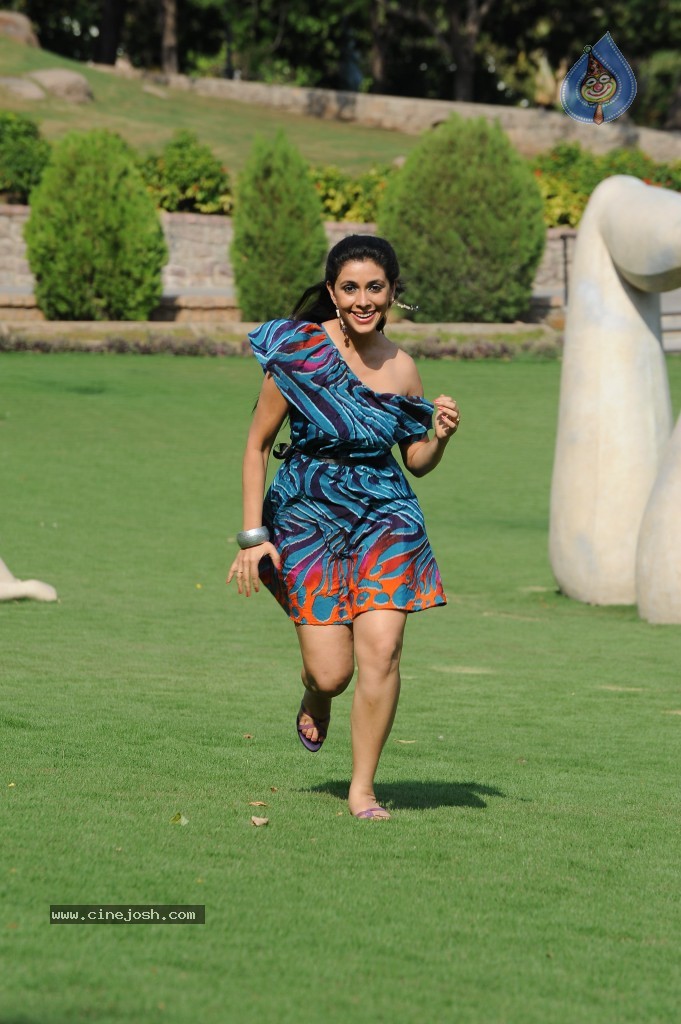 Manasi Photos - 32 / 46 photos