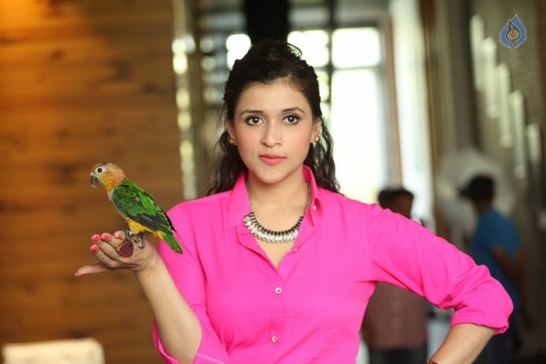 Mannara Chopra Latest Pics - 29 / 42 photos
