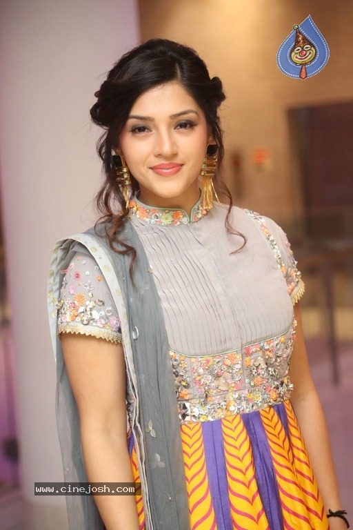Mehreen Kaur Pirzada Gallery - 16 / 21 photos