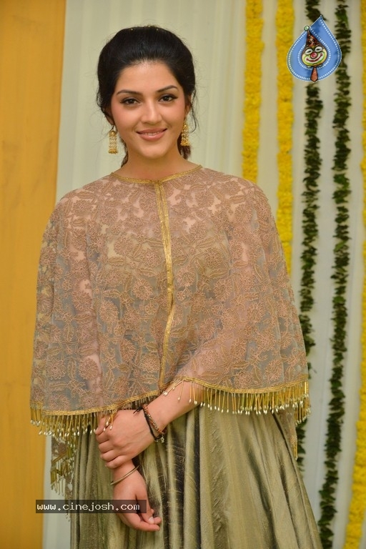 Mehrene Kaur Photos - 16 / 21 photos