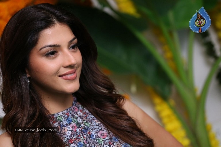 Mehrene Kaur Pirzada Interview Photos - 7 / 29 photos