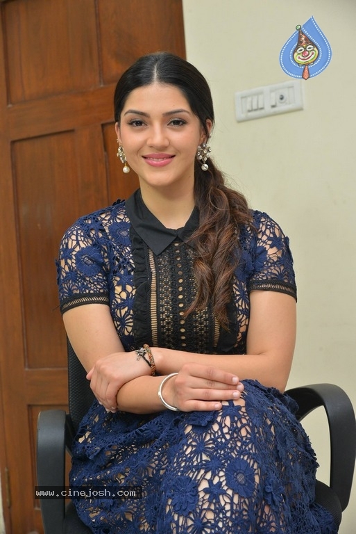 Mehrene Kaur Pirzada New Gallery - 18 / 18 photos