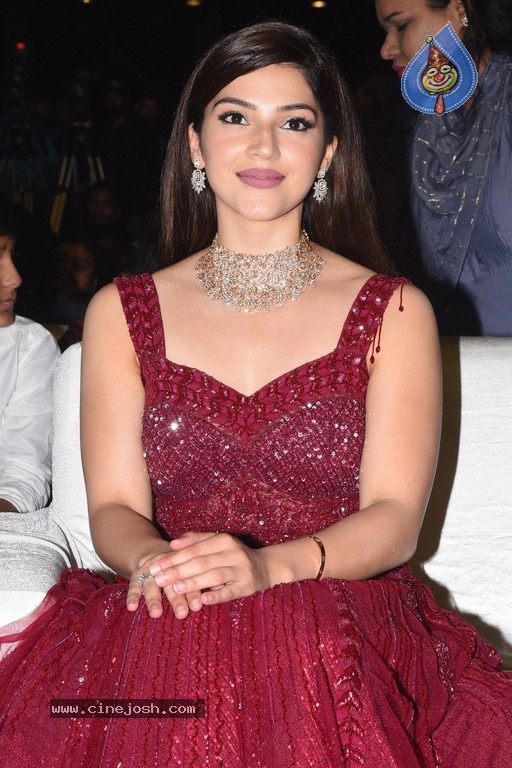 Mehrene Kaur Pirzada Photos - 14 / 17 photos