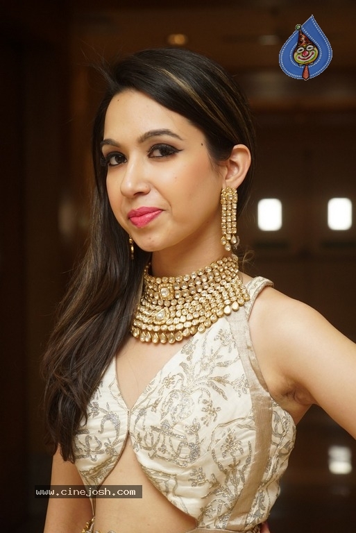 Model Ankita Sethi Latest Pics - 13 / 15 photos