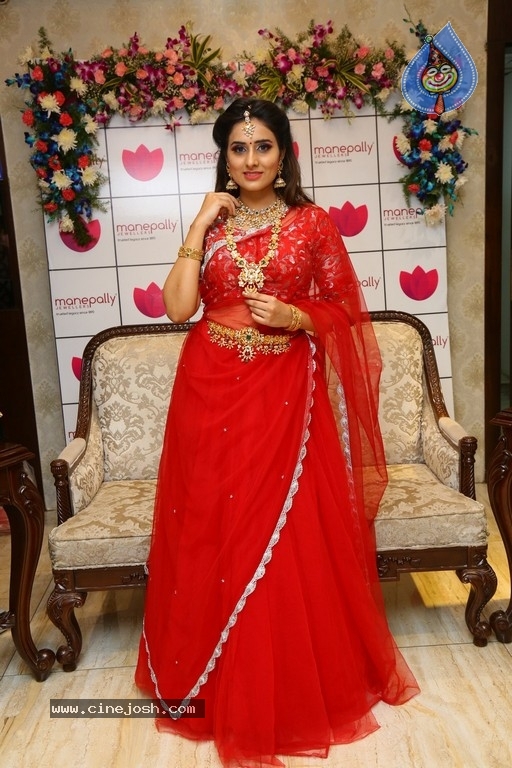 Model Nikitha Chaturvedi Stills - 14 / 17 photos