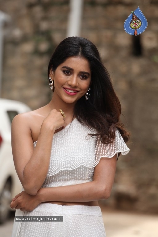 Nabha Natesh Gallery - 2 / 21 photos