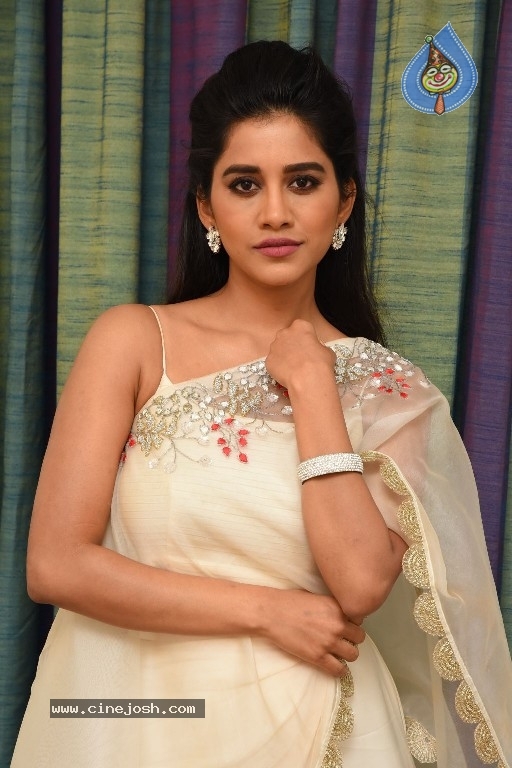 Nabha Natesh New Photos - 6 / 21 photos