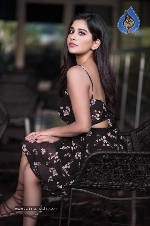 Nabha Natesh New Pics - 5 / 6 photos
