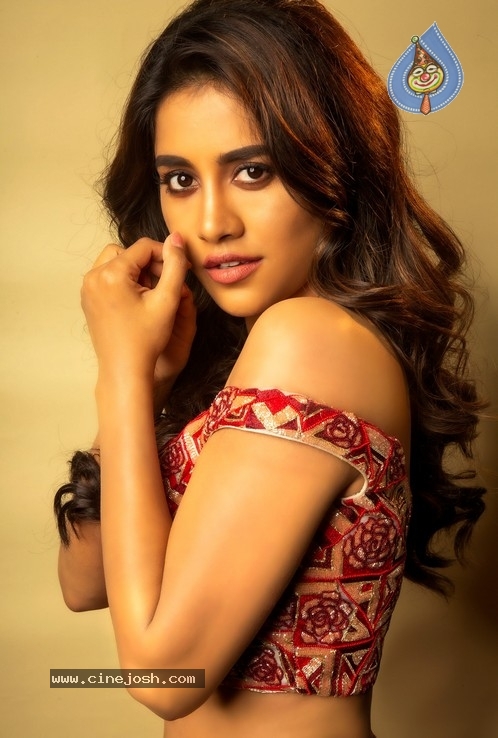 Nabha Natesh Stills - 2 / 6 photos