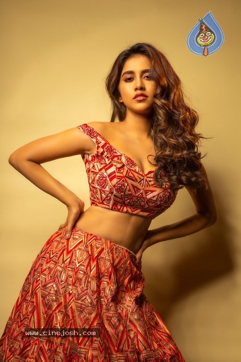 Nabha Natesh Stills - 6 / 6 photos
