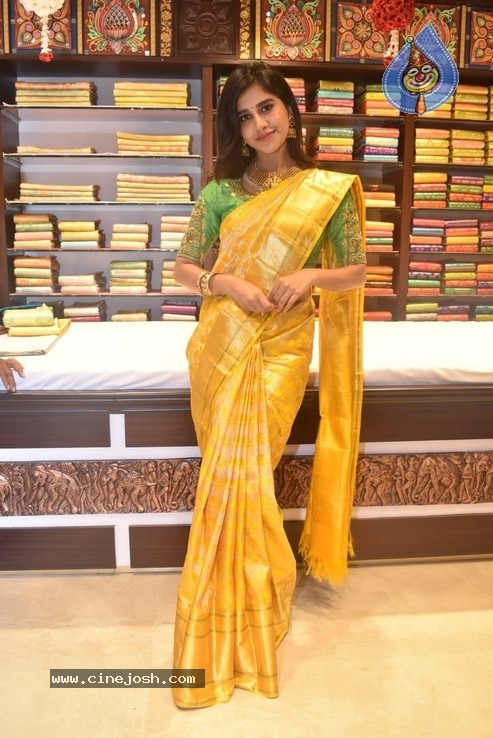 Nabha Natesh Stills - 4 / 6 photos