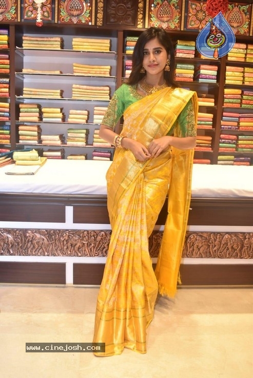 Nabha Natesh Stills - 6 / 6 photos