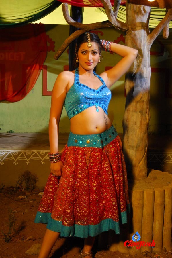 Navneet Kaur Spicy Gallery - 39 / 77 photos