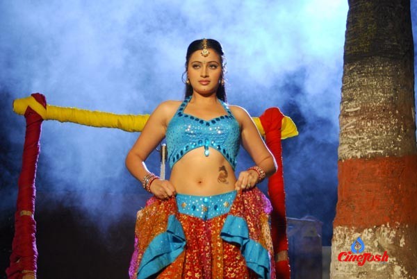 Navneet Kaur Spicy Gallery - 68 / 77 photos