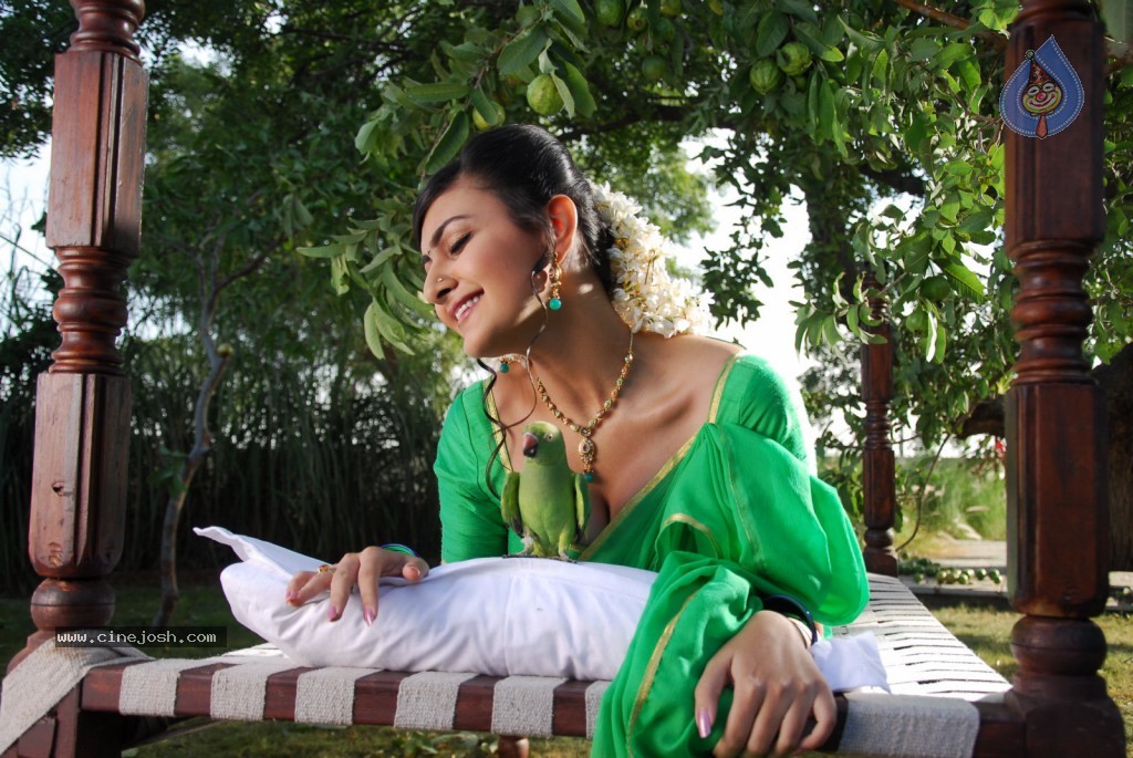 Neelam Upadhyay Hot Photos - 27 / 71 photos