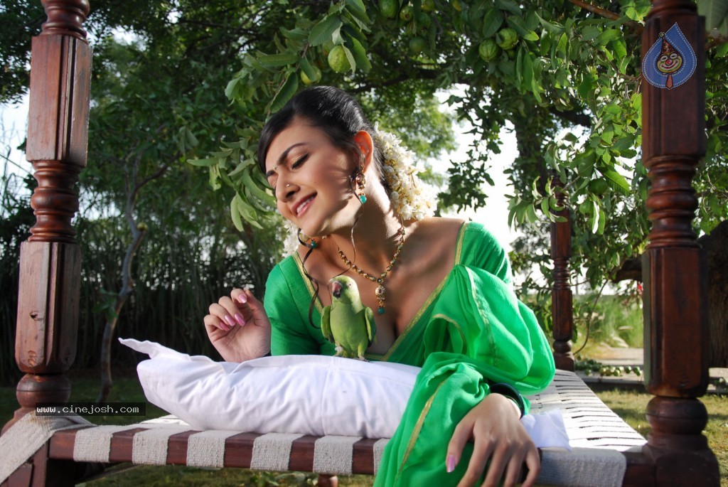 Neelam Upadhyay Hot Photos - 50 / 71 photos