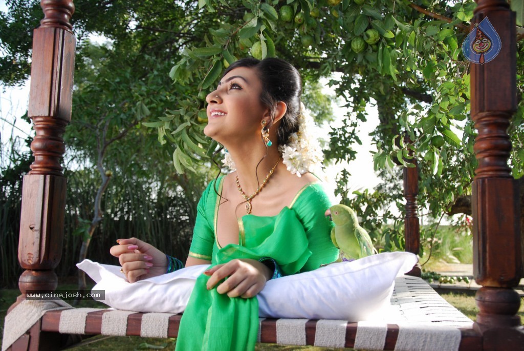 Neelam Upadhyay Hot Photos - 59 / 71 photos