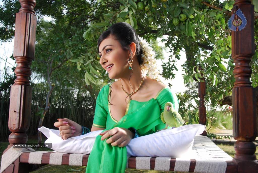 Neelam Upadhyay Hot Photos - 68 / 71 photos