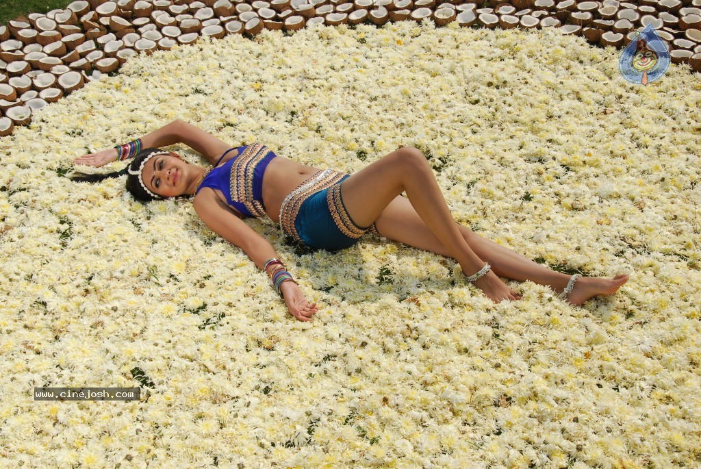 Neelam Upadhyay New Hot Stills - 24 / 105 photos