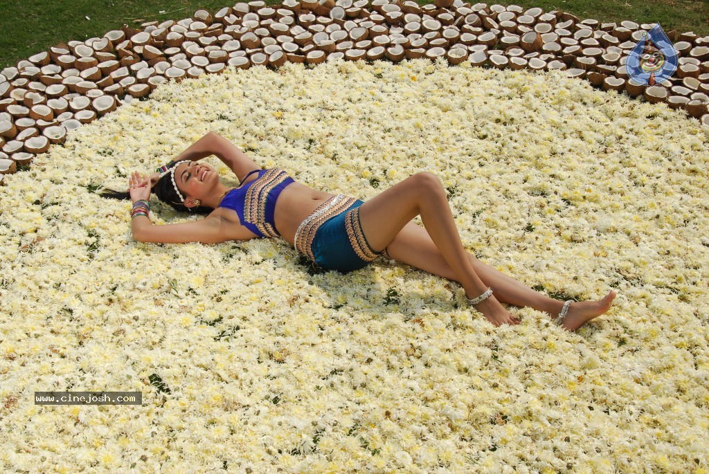 Neelam Upadhyay New Hot Stills - 33 / 105 photos