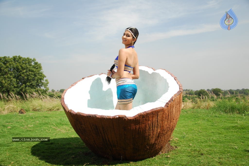 Neelam Upadhyay New Hot Stills - 49 / 105 photos