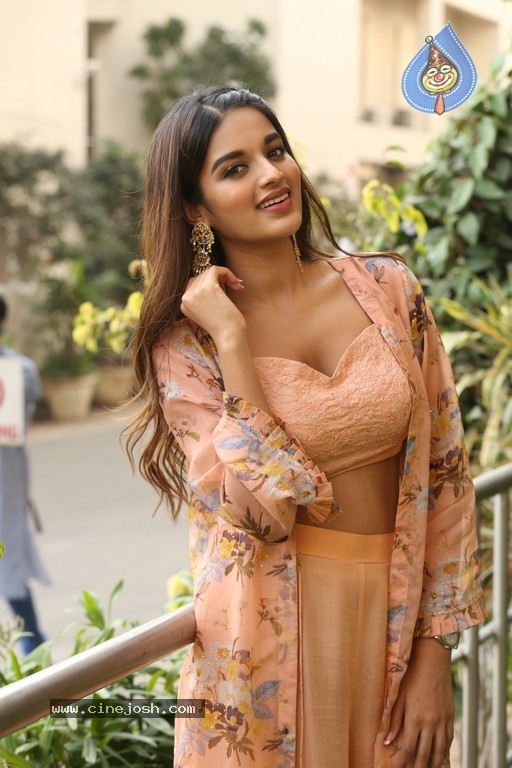 Nidhhi Agerwal Photos - 19 / 31 photos