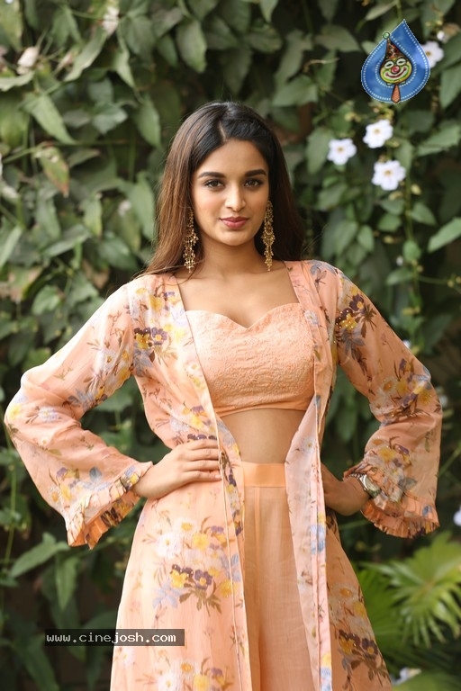 Nidhhi Agerwal Photos - 21 / 31 photos