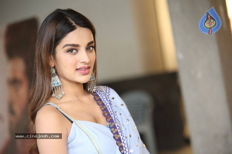 Nidhhi Agerwal Photos - 17 / 21 photos