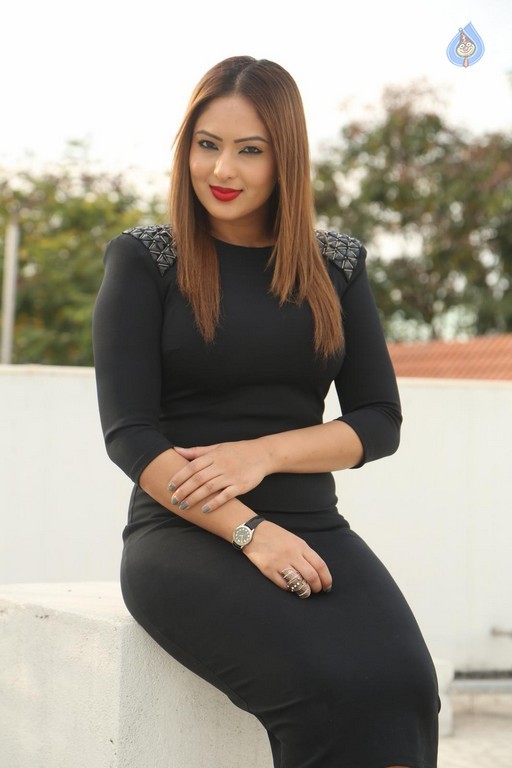 Nikesha Patel Latest Photos - 15 / 42 photos