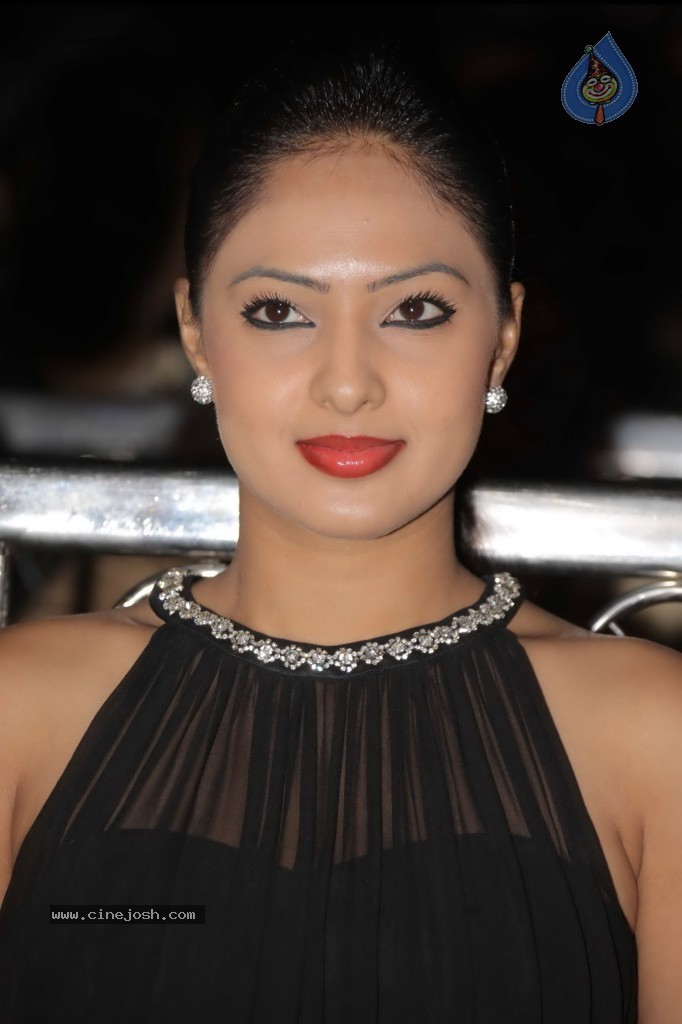 Nikesha Patel New Photos - 27 / 32 photos