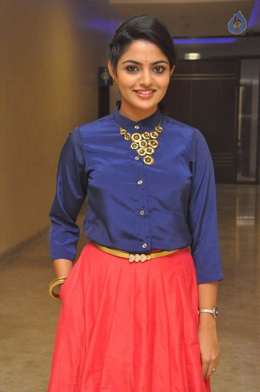 Nikhila Vimal New Photos - 8 / 15 photos