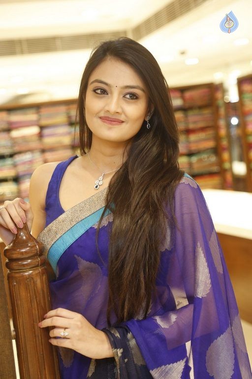 Nikitha Narayan Latest Images - 38 / 40 photos