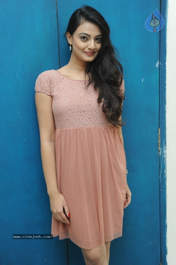 Nikitha Narayan New Gallery - 86 / 108 photos