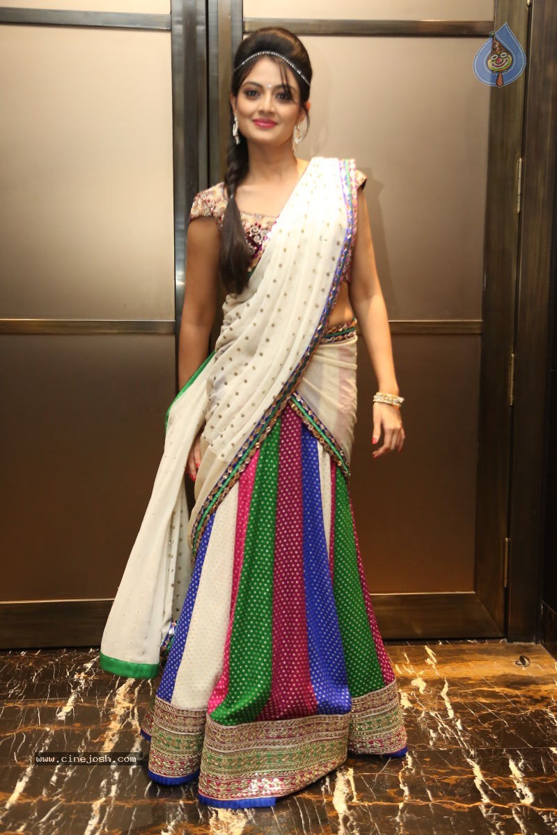 Nikitha Narayan New Photos - 10 / 74 photos