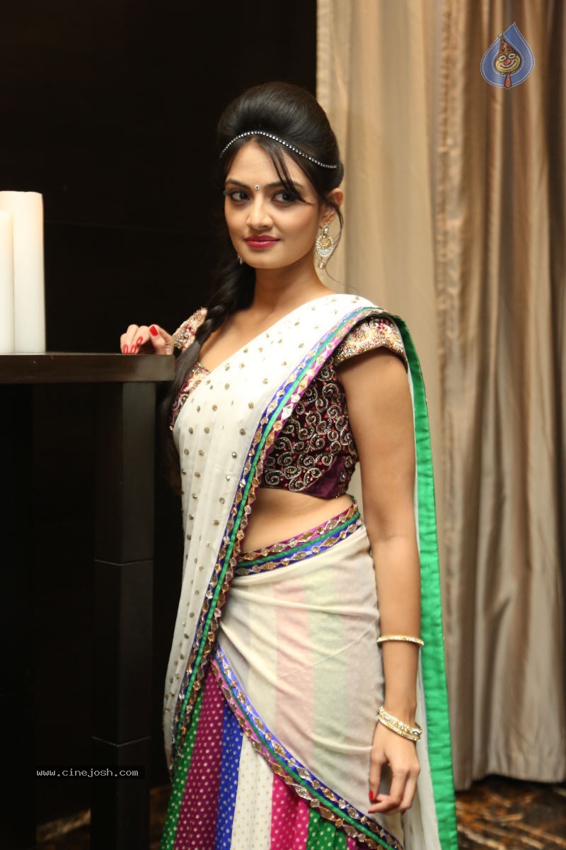 Nikitha Narayan New Photos - 31 / 74 photos