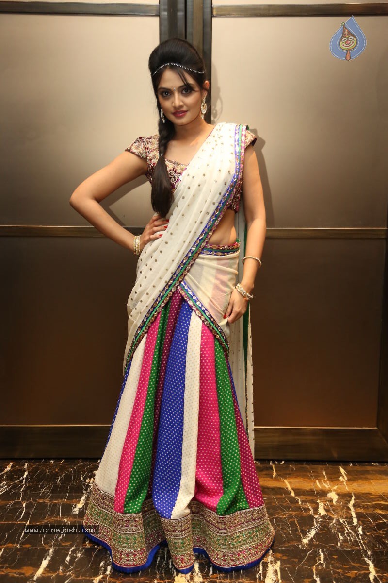 Nikitha Narayan New Photos - 71 / 74 photos