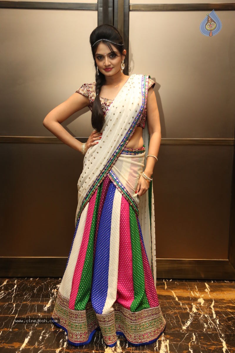 Nikitha Narayan New Photos - 74 / 74 photos