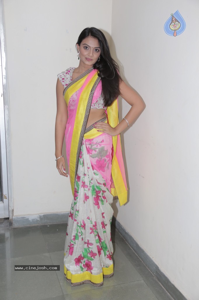 Nikitha Narayan New Photos - 16 / 65 photos