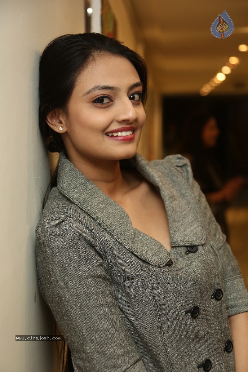 Nikitha Narayan New Photos - 86 / 87 photos