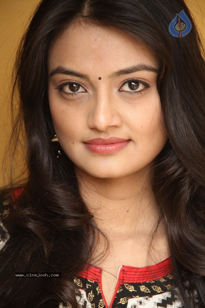 Nikitha Narayan New Pics - 90 / 100 photos