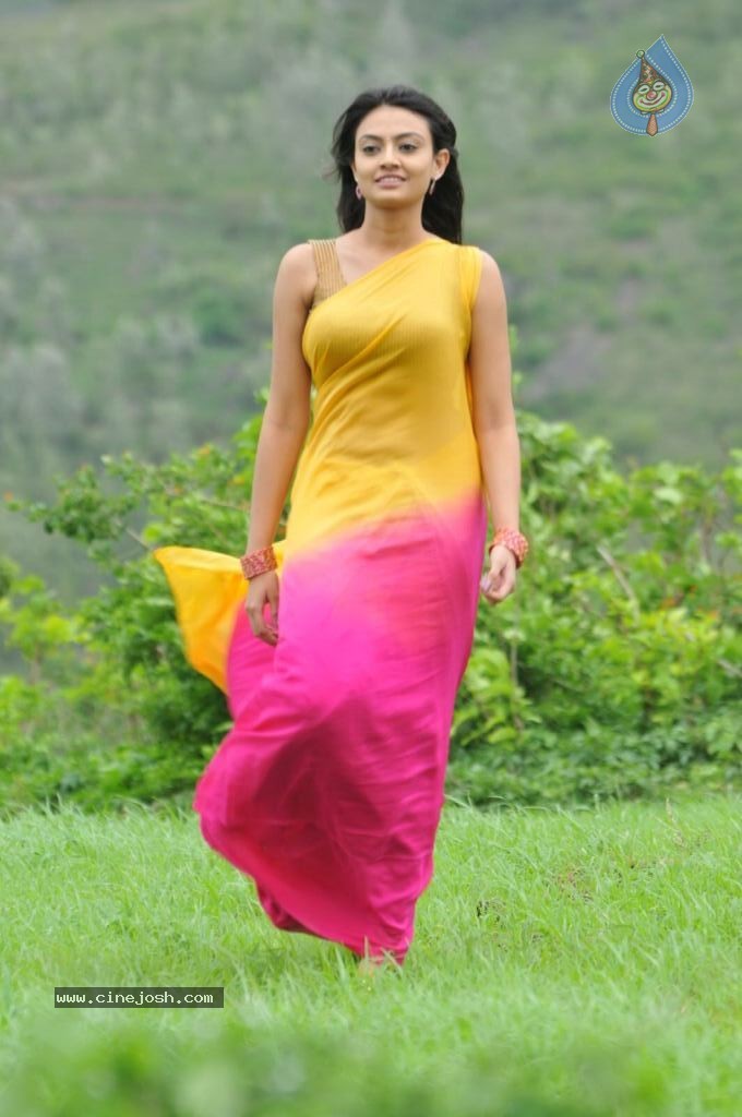 Nikitha Narayan New Stills - 30 / 108 photos