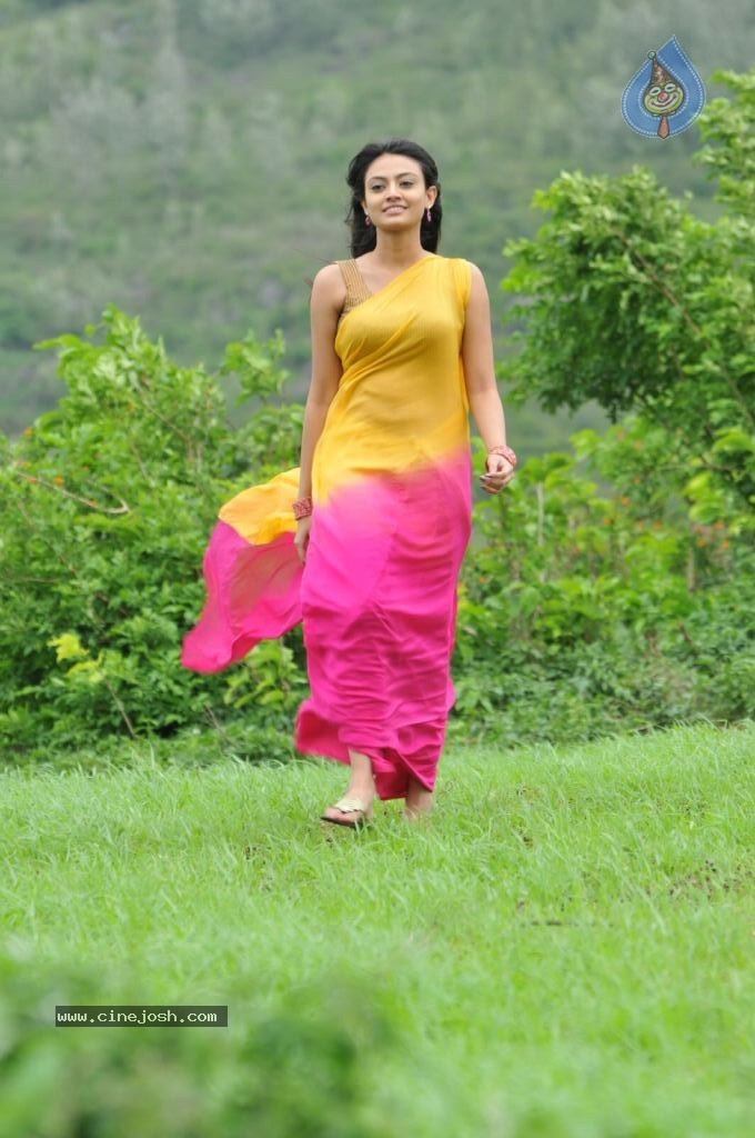 Nikitha Narayan New Stills - 49 / 108 photos