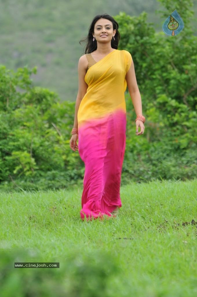 Nikitha Narayan New Stills - 63 / 108 photos