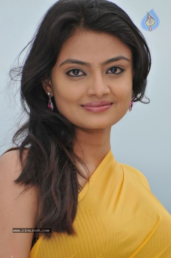 Nikitha Narayan New Stills - 84 / 108 photos